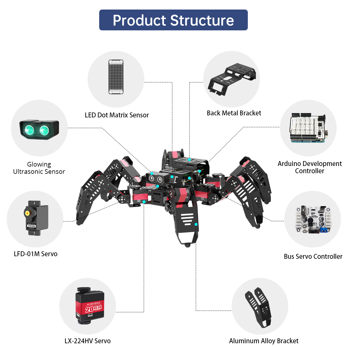 Hiwonder Spiderbot, robot arai - Robotics Kit avis et prix