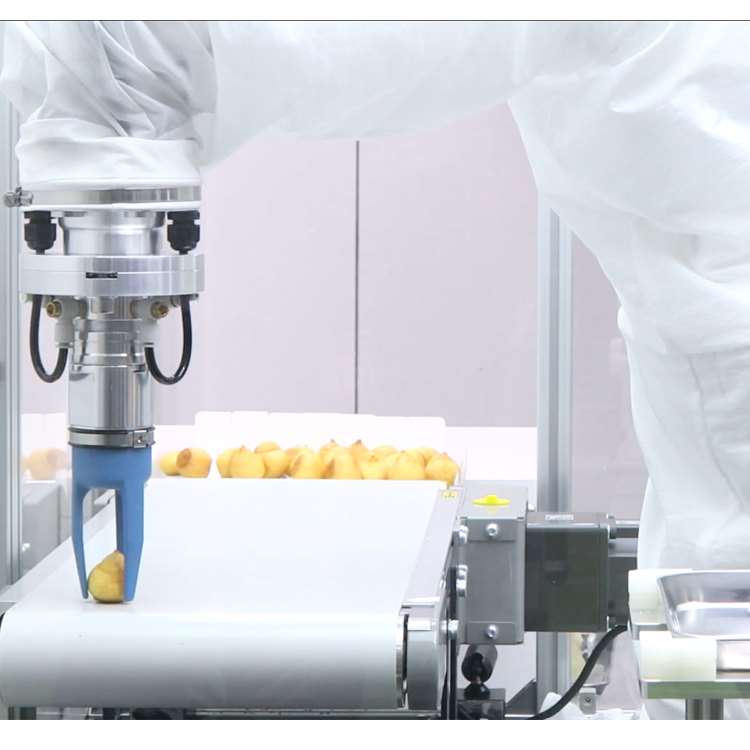 Bras robotique CNC 6 axes avec - Robot Kit avis et prix